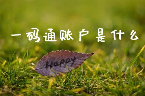 一码通账户是什么_https://www.gongyisiwang.com_期货公司手续费排名_第1张