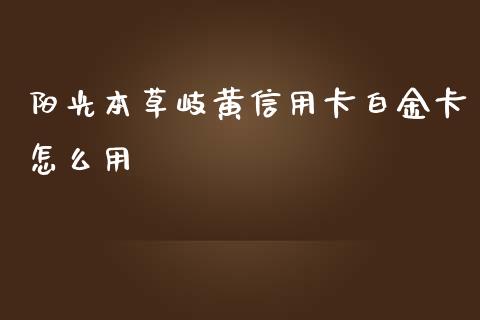 阳光本草岐黄信用卡白金卡怎么用_https://www.gongyisiwang.com_焦炭期货手续费_第1张