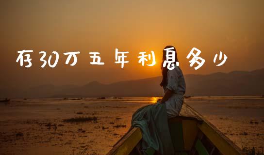 存30万五年利息多少_https://www.gongyisiwang.com_原油期货_第1张