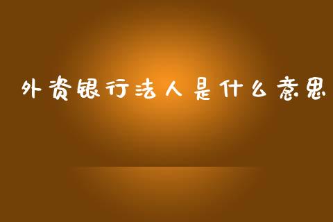 外资银行法人是什么意思_https://www.gongyisiwang.com_期货公司手续费排名_第1张
