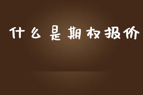 什么是期权报价_https://www.gongyisiwang.com_焦炭期货手续费_第1张