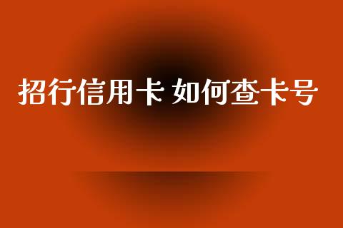 招行信用卡 如何查卡号_https://www.gongyisiwang.com_股指期货_第1张