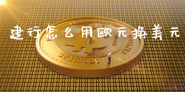 建行怎么用欧元换美元_https://www.gongyisiwang.com_原油期货_第1张