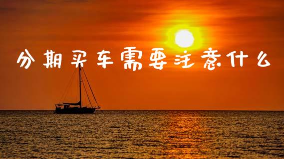 分期买车需要注意什么_https://www.gongyisiwang.com_期货公司手续费排名_第1张