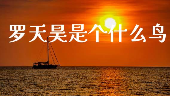 罗天昊是个什么鸟_https://www.gongyisiwang.com_广发期货手续费_第1张