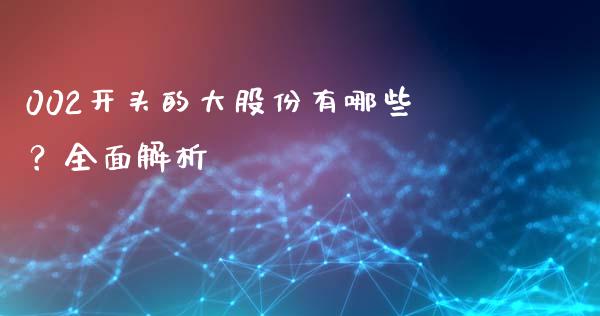 002开头的大股份有哪些？全面解析_https://www.gongyisiwang.com_恒指期货_第1张
