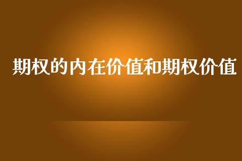 期权的内在价值和期权价值_https://www.gongyisiwang.com_股指期货_第1张