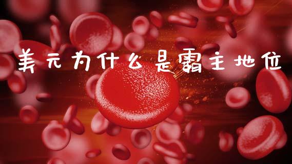 美元为什么是霸主地位_https://www.gongyisiwang.com_股指期货交易手续费_第1张