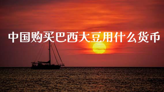 中国购买巴西大豆用什么货币_https://www.gongyisiwang.com_期货公司手续费排名_第1张