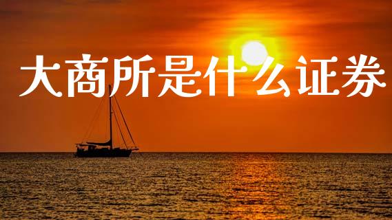 大商所是什么证券_https://www.gongyisiwang.com_股指期货_第1张