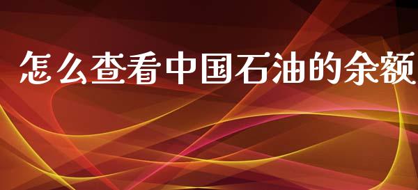 怎么查看中国石油的余额_https://www.gongyisiwang.com_恒指期货_第1张