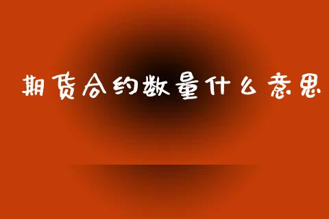 期货合约数量什么意思_https://www.gongyisiwang.com_期货公司手续费排名_第1张