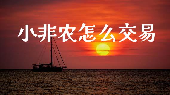 小非农怎么交易_https://www.gongyisiwang.com_道指_第1张