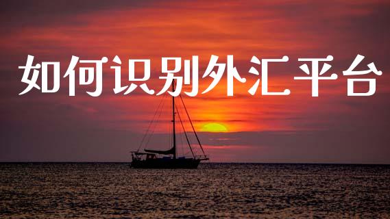 如何识别外汇平台_https://www.gongyisiwang.com_道指_第1张