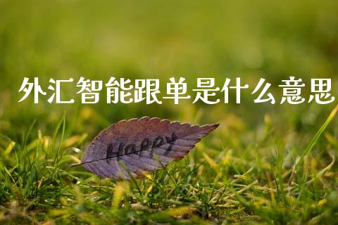 外汇智能跟单是什么意思_https://www.gongyisiwang.com_期货公司手续费排名_第1张