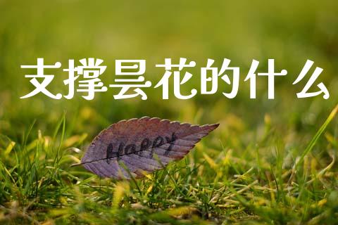 支撑昙花的什么_https://www.gongyisiwang.com_股指期货交易手续费_第1张