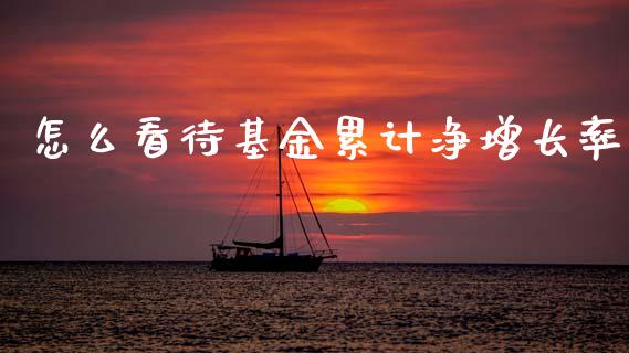怎么看待基金累计净增长率_https://www.gongyisiwang.com_广发期货手续费_第1张