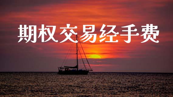 期权交易经手费_https://www.gongyisiwang.com_股指期货_第1张