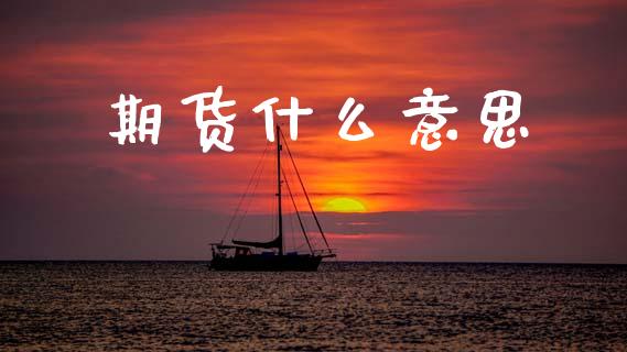 期货什么意思_https://www.gongyisiwang.com_广发期货手续费_第1张