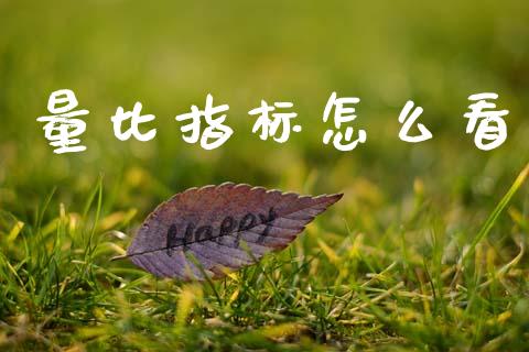 量比指标怎么看_https://www.gongyisiwang.com_期货公司手续费排名_第1张
