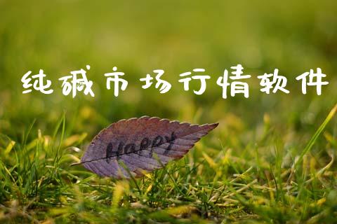 纯碱市场行情软件_https://www.gongyisiwang.com_股指期货_第1张