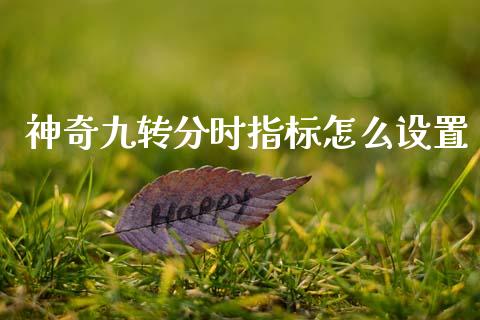神奇九转分时指标怎么设置_https://www.gongyisiwang.com_股指期货交易手续费_第1张