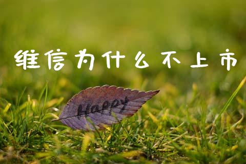 维信为什么不上市_https://www.gongyisiwang.com_股指期货交易手续费_第1张
