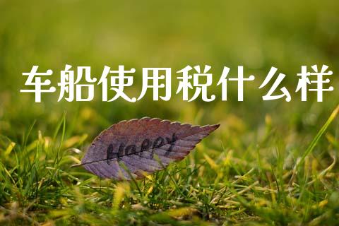 车船使用税什么样_https://www.gongyisiwang.com_股指期货交易手续费_第1张