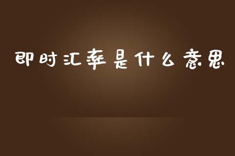 即时汇率是什么意思_https://www.gongyisiwang.com_原油期货_第1张