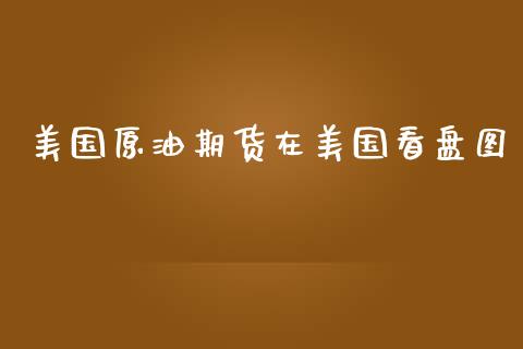 美国原油期货在美国看盘图_https://www.gongyisiwang.com_期货公司手续费排名_第1张