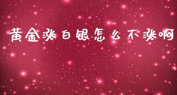 黄金涨白银怎么不涨啊_https://www.gongyisiwang.com_焦炭期货手续费_第1张