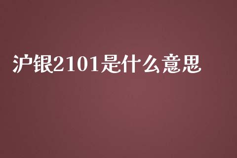 沪银2101是什么意思_https://www.gongyisiwang.com_股指期货交易手续费_第1张