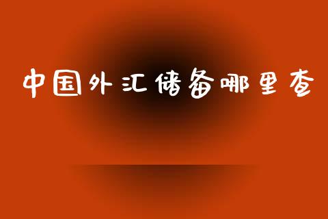 中国外汇储备哪里查_https://www.gongyisiwang.com_期货公司手续费排名_第1张