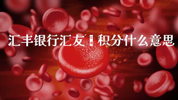 汇丰银行汇友荟积分什么意思_https://www.gongyisiwang.com_期货公司手续费排名_第1张