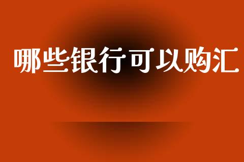哪些银行可以购汇_https://www.gongyisiwang.com_原油期货_第1张