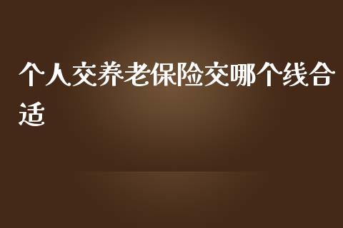 个人交养老保险交哪个线合适_https://www.gongyisiwang.com_股指期货交易手续费_第1张