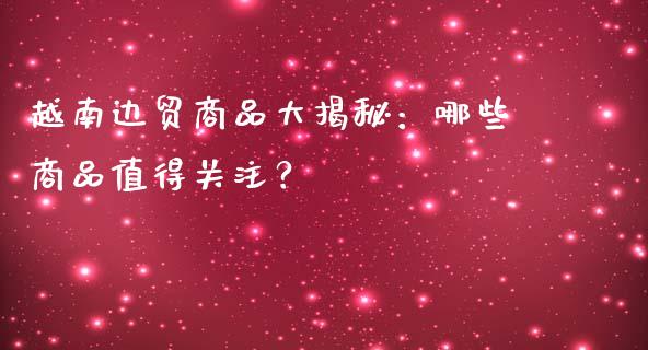 越南边贸商品大揭秘：哪些商品值得关注？_https://www.gongyisiwang.com_广发期货手续费_第1张
