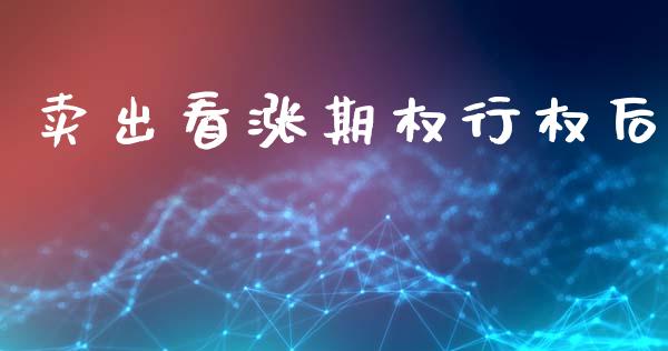 卖出看涨期权行权后_https://www.gongyisiwang.com_股指期货交易手续费_第1张