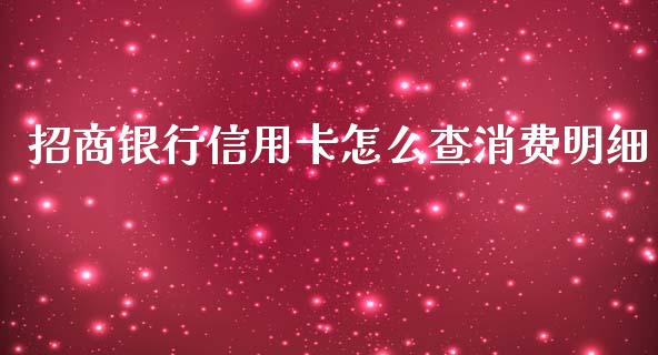 招商银行信用卡怎么查消费明细_https://www.gongyisiwang.com_广发期货手续费_第1张