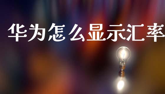 华为怎么显示汇率_https://www.gongyisiwang.com_股指期货交易手续费_第1张