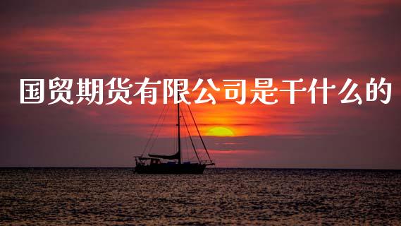 国贸期货有限公司是干什么的_https://www.gongyisiwang.com_股指期货_第1张