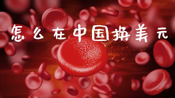 怎么在中国换美元_https://www.gongyisiwang.com_原油期货_第1张