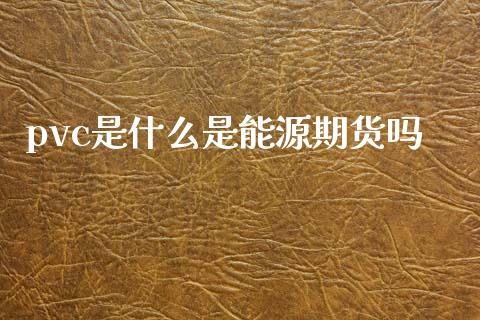 pvc是什么是能源期货吗_https://www.gongyisiwang.com_道指_第1张