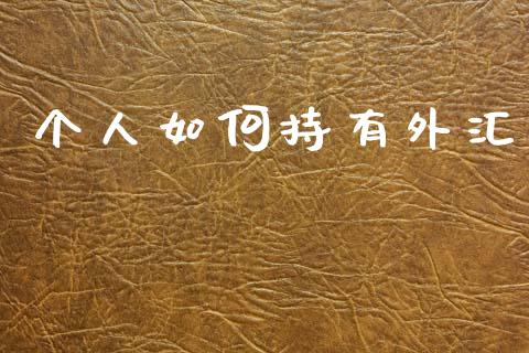 个人如何持有外汇_https://www.gongyisiwang.com_焦炭期货手续费_第1张