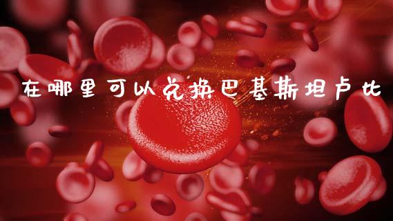 在哪里可以兑换巴基斯坦卢比_https://www.gongyisiwang.com_广发期货手续费_第1张