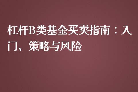 杠杆B类基金买卖指南：入门、策略与风险_https://www.gongyisiwang.com_道指_第1张