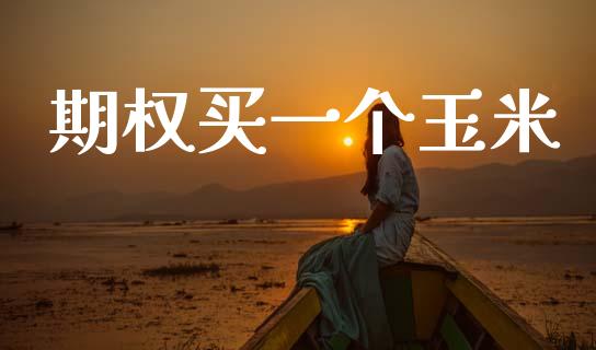 期权买一个玉米_https://www.gongyisiwang.com_原油期货_第1张
