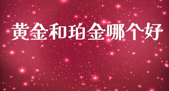 黄金和珀金哪个好_https://www.gongyisiwang.com_广发期货手续费_第1张