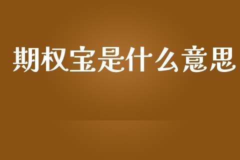 期权宝是什么意思_https://www.gongyisiwang.com_道指_第1张