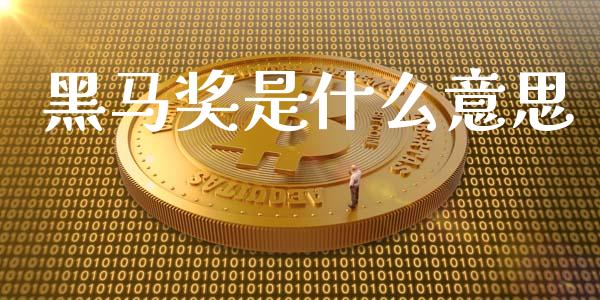 黑马奖是什么意思_https://www.gongyisiwang.com_原油期货_第1张